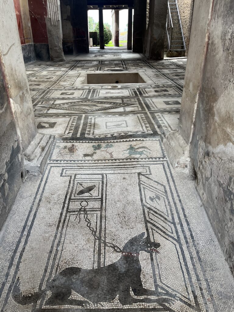 Pompeii, Italy, Tourist attraction, Mosaic, A large mosaic floor stretches into the distance with a black mosaic dog on a chain in the foreground