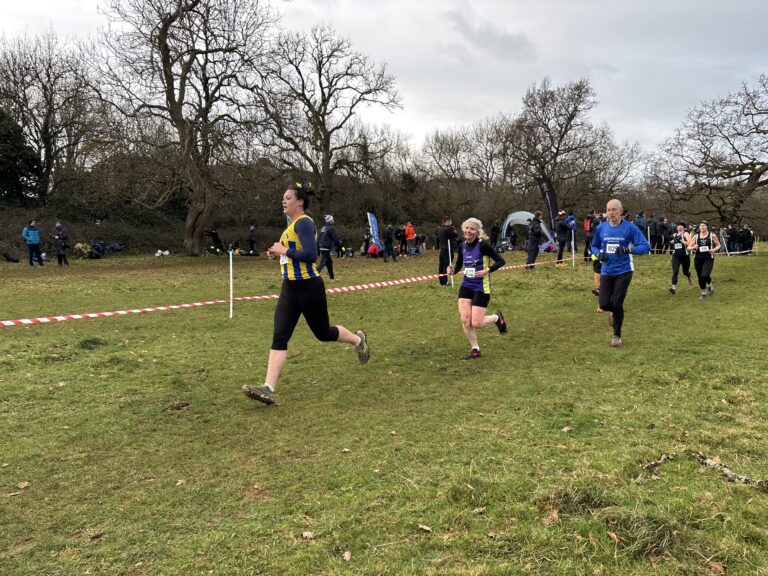 Cross country, Running, Runners, Two women and one man run through a field surrounded by bare trees and a grey sky