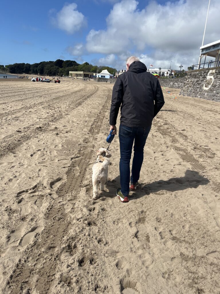 Hetty, Dog, Cockapoo, Beach, A man in a black coat and jeans walks a small golden cockapoo dog along a beach