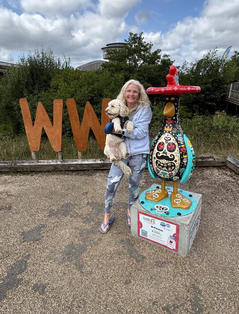 Feathers McGraw, Gromit Unleashed 3, WWT Slimbridge, Silent Sunday, My Sunday Photo, A woman in a light blue top holding a golden cockapoo dog stands next to a colourful comical bird sculpture in front of two large letter double Ws and some hedges