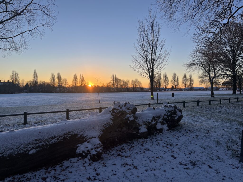 Snow, Sunrise, Birmingham, Silent Sunday, My Sunday Photo, Sunrise over a park covered in snow with lots of trees silhouetted in the background and a large snow covered log in the foreground