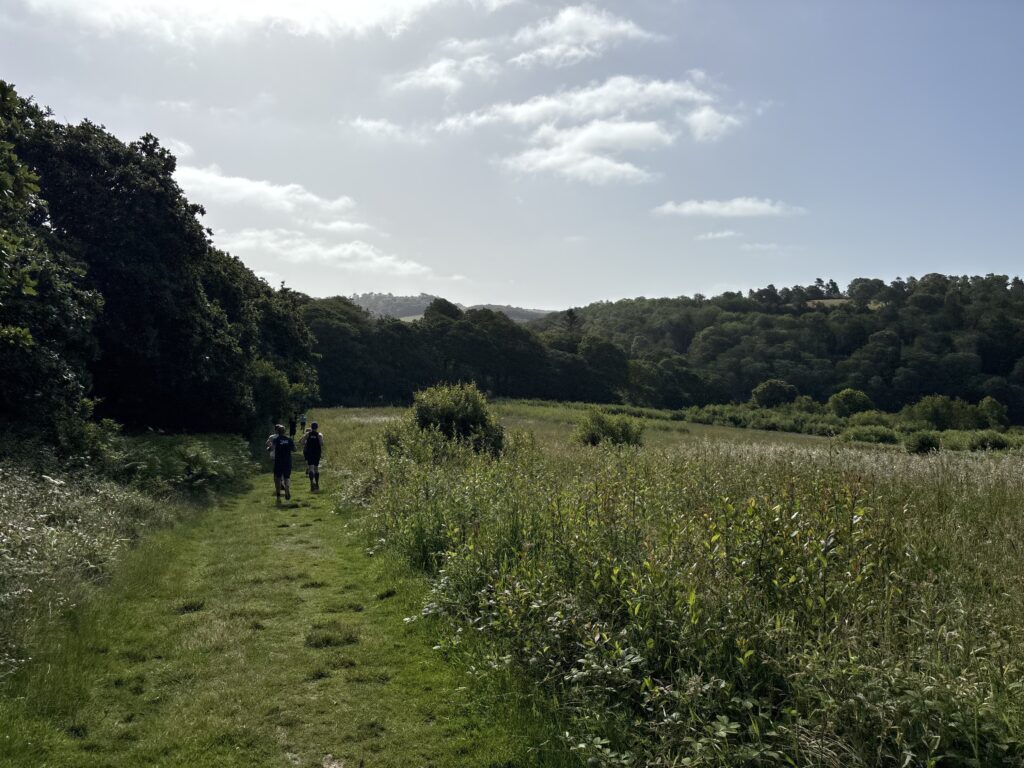 Trelissick parkrun, Runners, Parkrun tourism, Parkrun, Cornwall, A large green field with some long grass and some shorter grass surrounded by trees and hedges against a blue sky with a few white clouds and a small number of runners visible in the distance