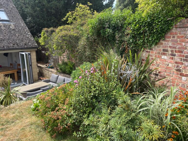 Garden, Summer, Plants, Flowers, Silent Sunday, My Sunday Photo, A red brick wall half covered in trailing plants with a variety of tall plants in front of it and a pale brick house just visible with the patio door open